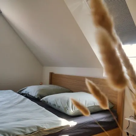 Apartment Der Schuppen Mildstedt